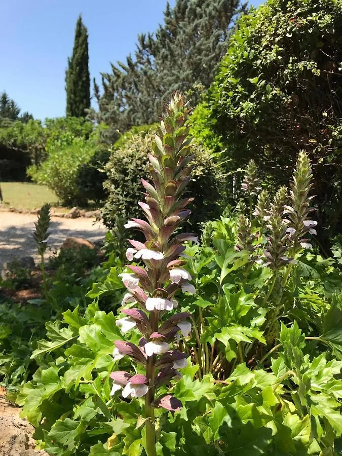 Bed and Breakfast L' Esmerand Cotignac Γαλλία